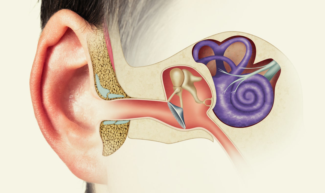 How Does Inner Ear Damage Affect Hearing?